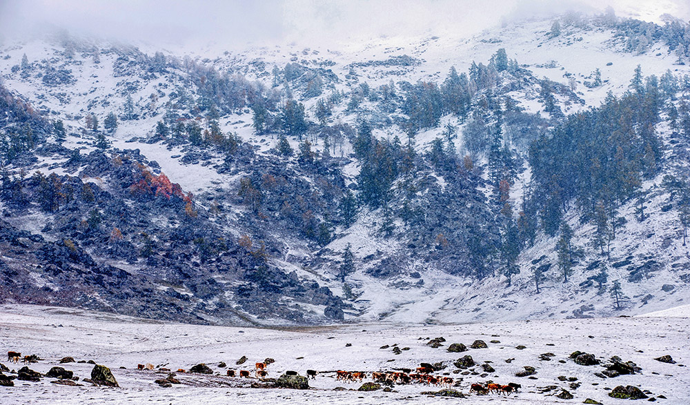 白雪青山