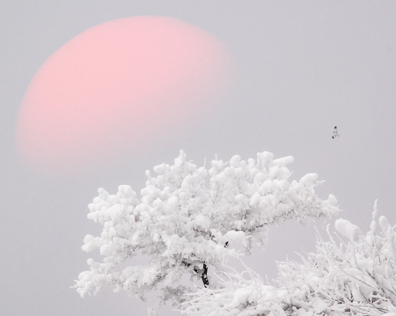 《残阳夕照》景玉梅